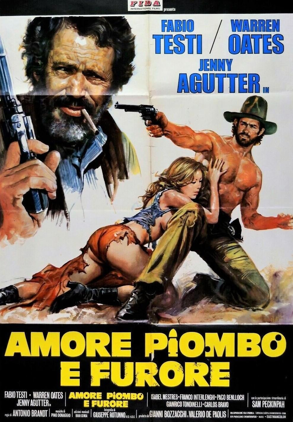 Amore, piombo e furore (1978) Cover