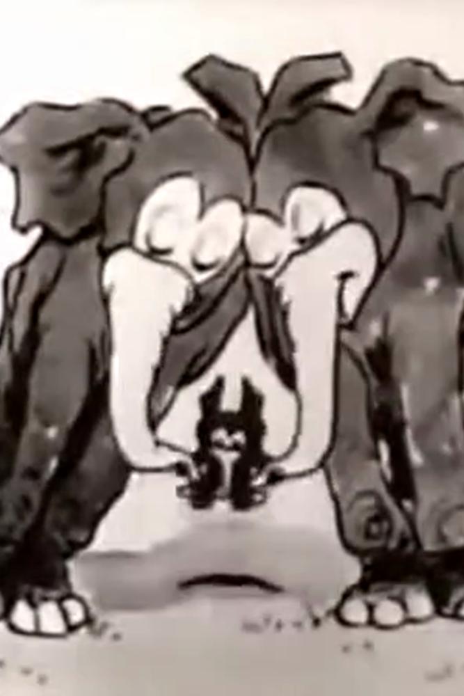 Jungle Fool (1929) Cover