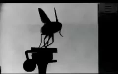 Mosquinha (1890) Cover