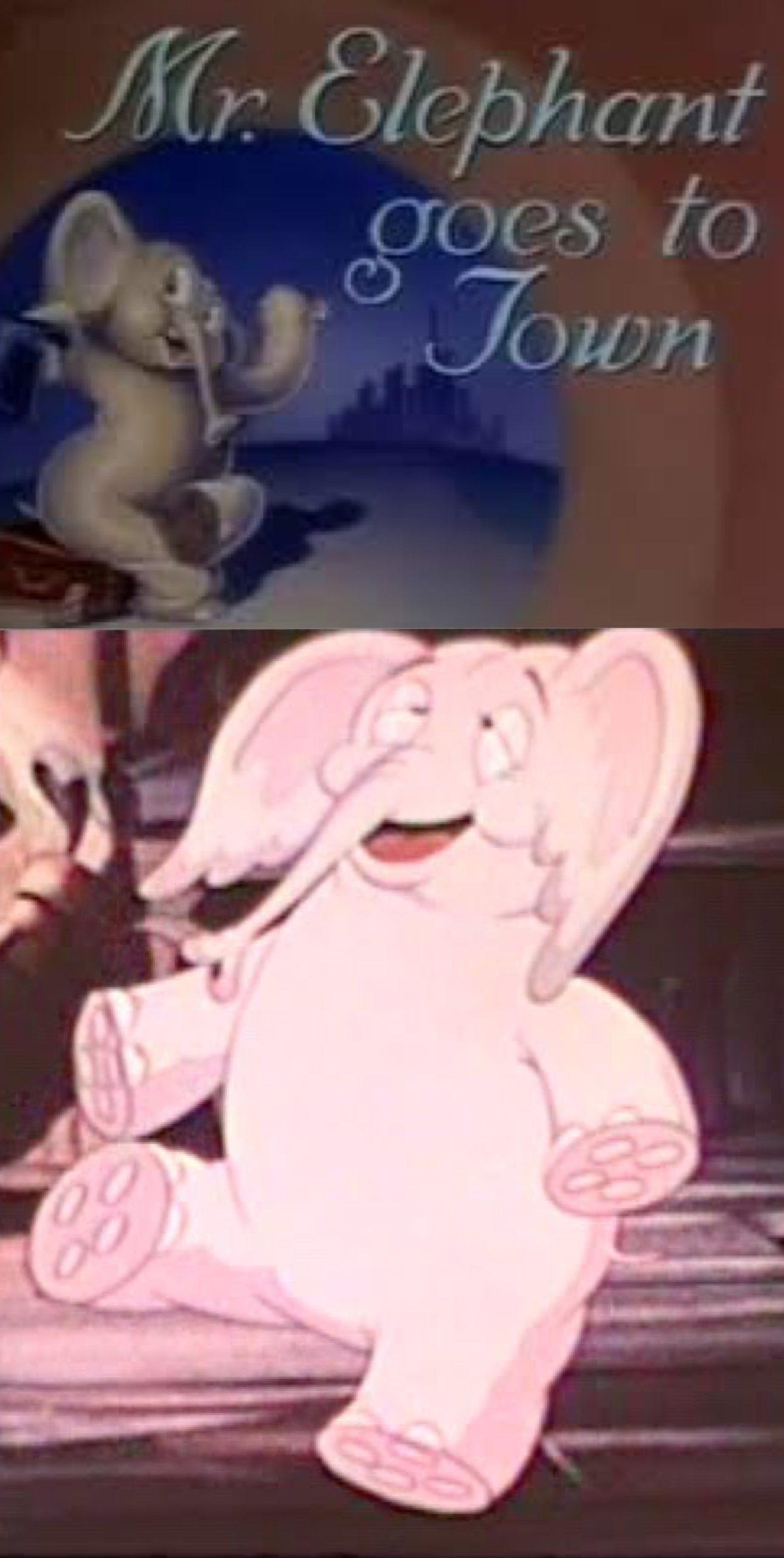 Mr. Elephant Goes to Town (1940) Cover