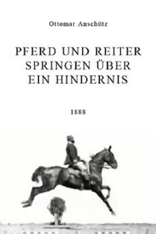 Pferd und Reiter Springen über ein Hindernis (1888) Cover