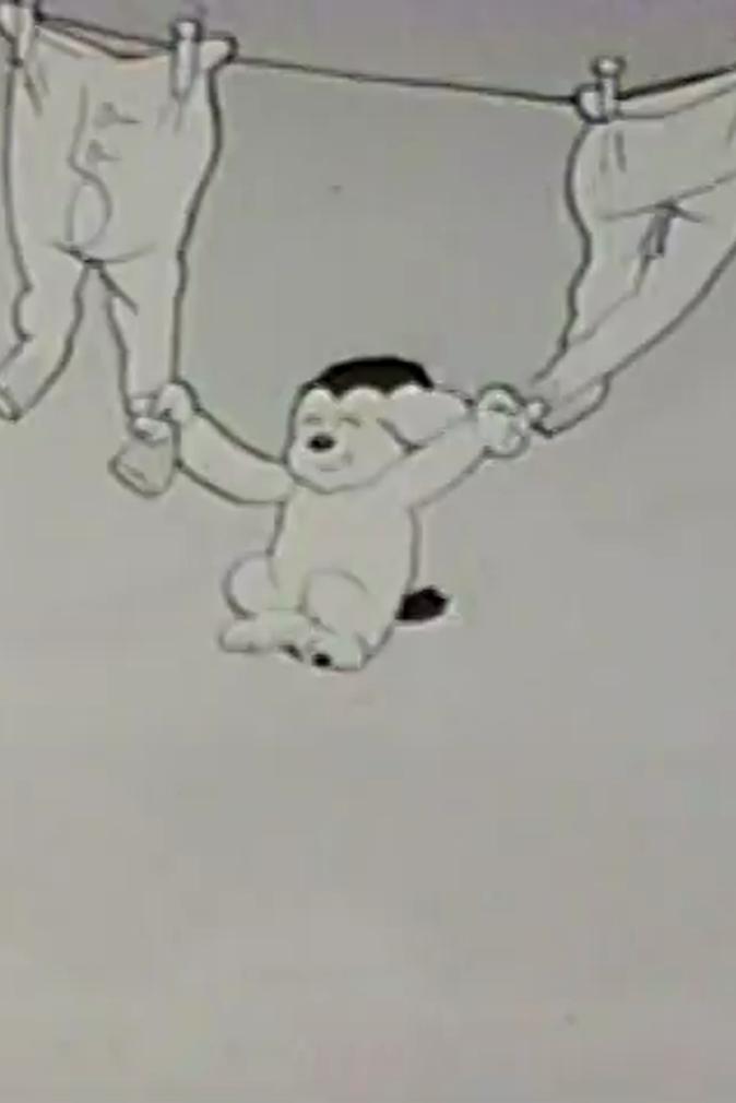 The Dog Show (1934) Cover