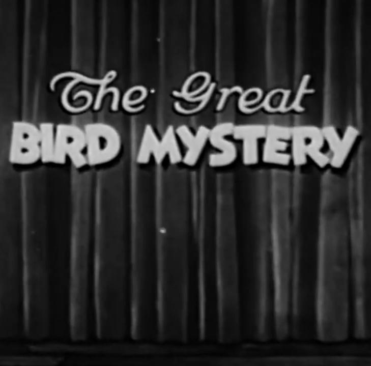 The Great Bird Mystery (1932) Cover