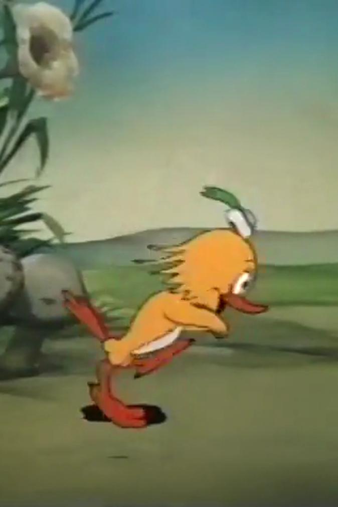 The Hard Boiled Egg (1948) Cover