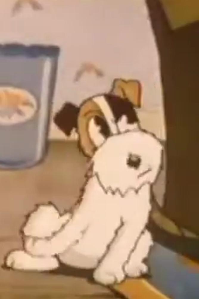 The Merry Kittens (1935) Cover