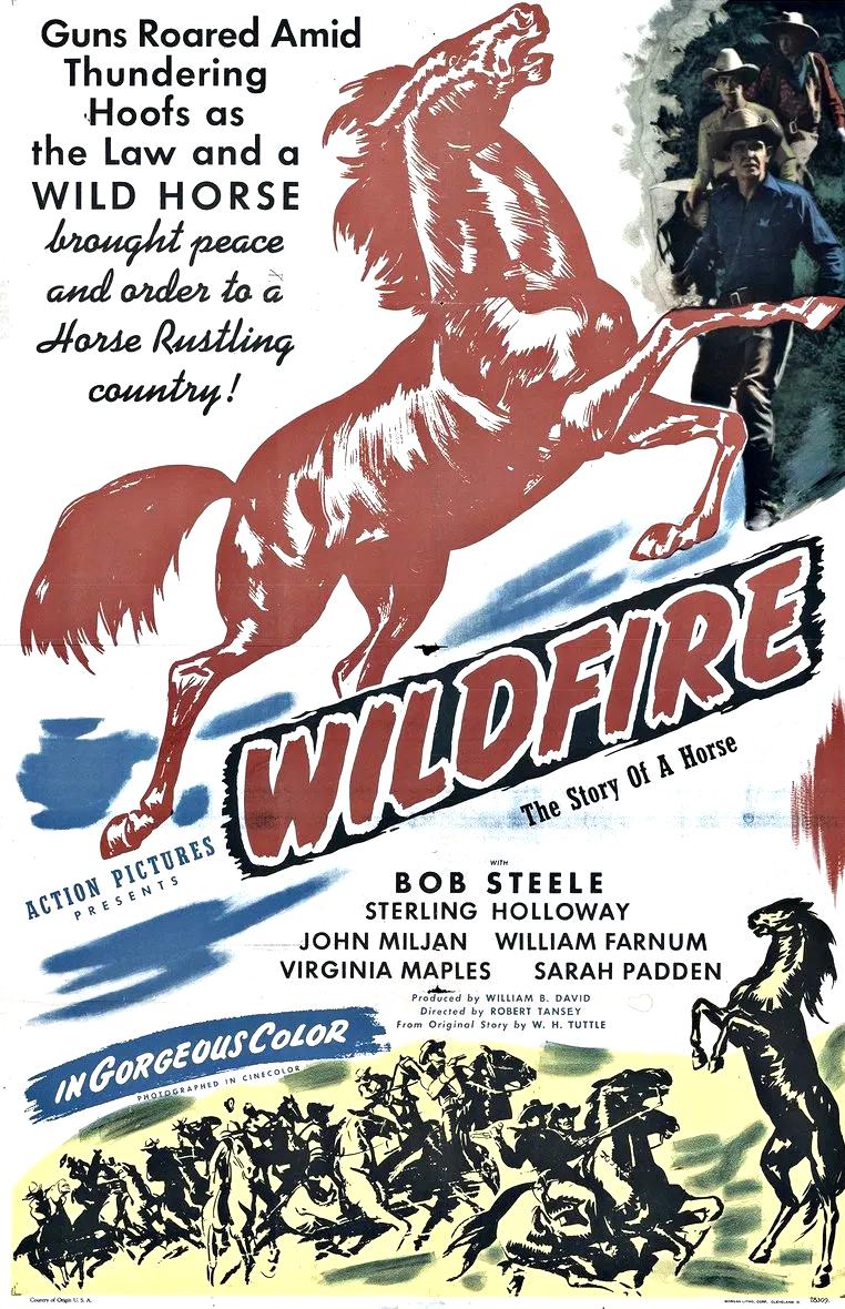 Wildfire (1945) Cover