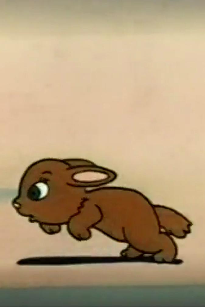 All This and Rabbit Stew (1950) Cover