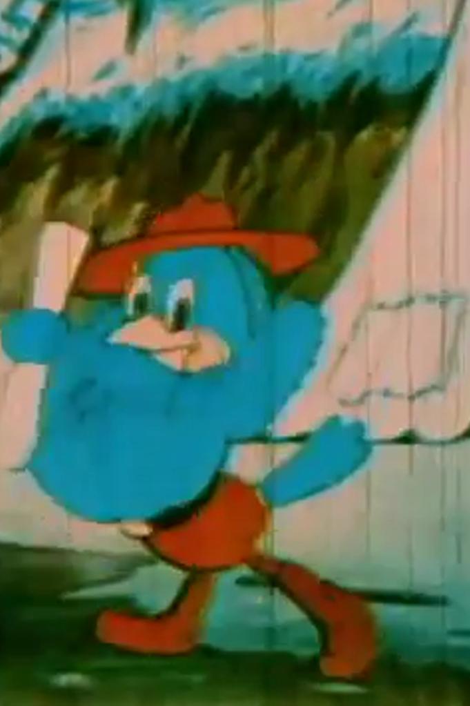 Bird Scouts (1935) Cover