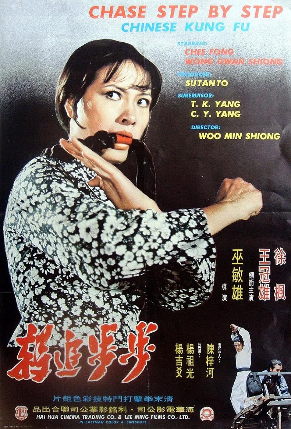Bu bu zhui zong (1974) Cover