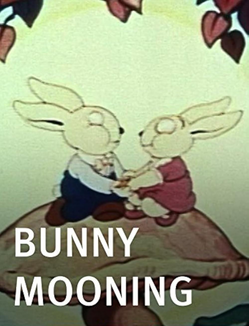 Bunny Mooning (1937) Cover