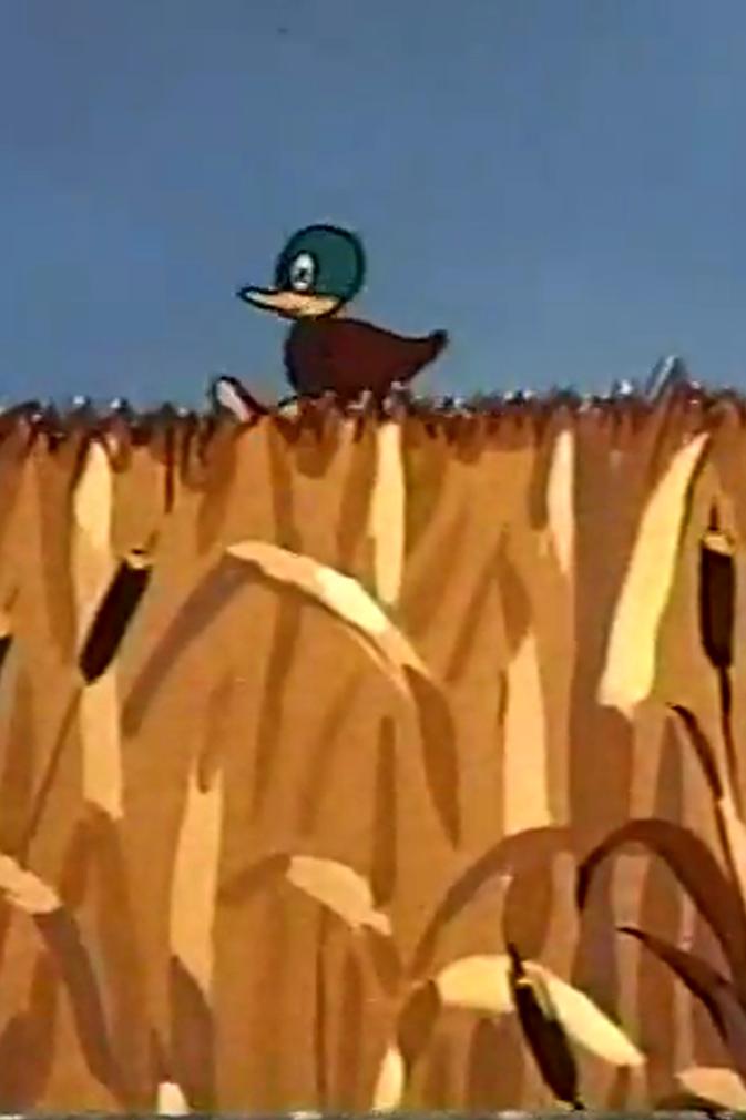 Duck Fever (1955) Cover