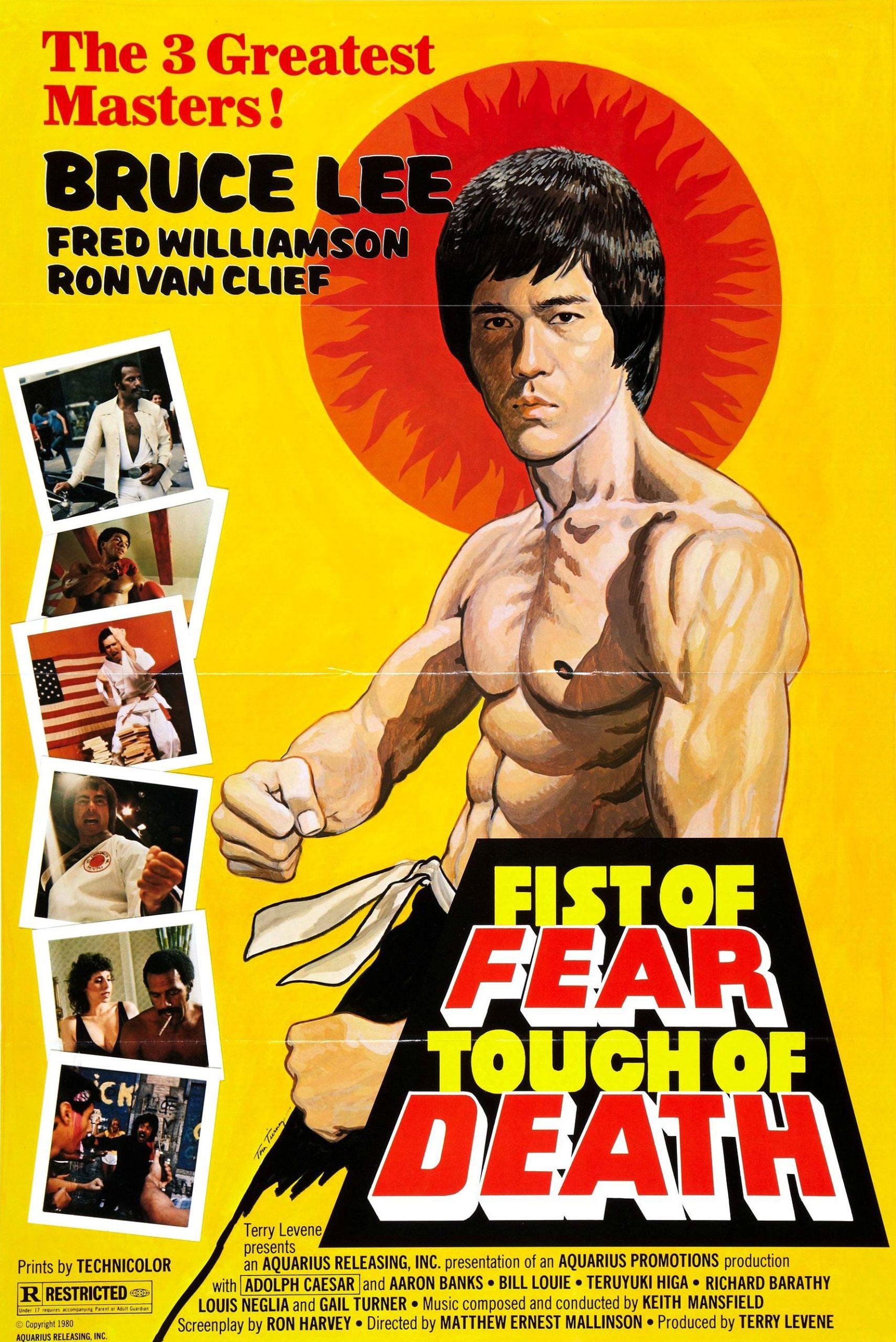 Fist of Fear, Touch of Death (1980) Cover