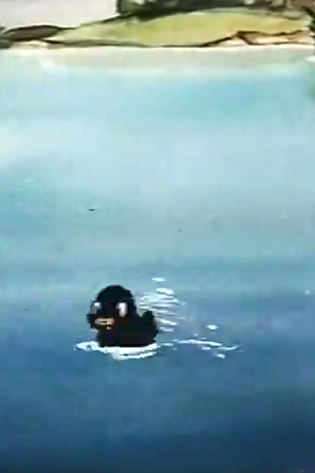 Lucky Ducky (1940) Cover