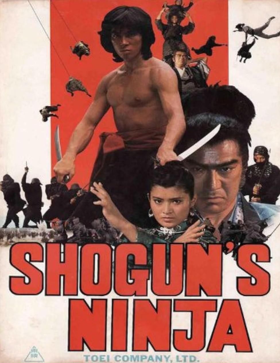 Ninja bugeicho momochi sandayu (1980) Cover