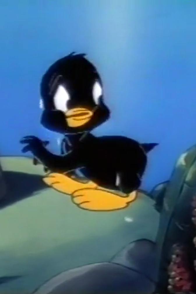 Sink or Swim (1952) Cover