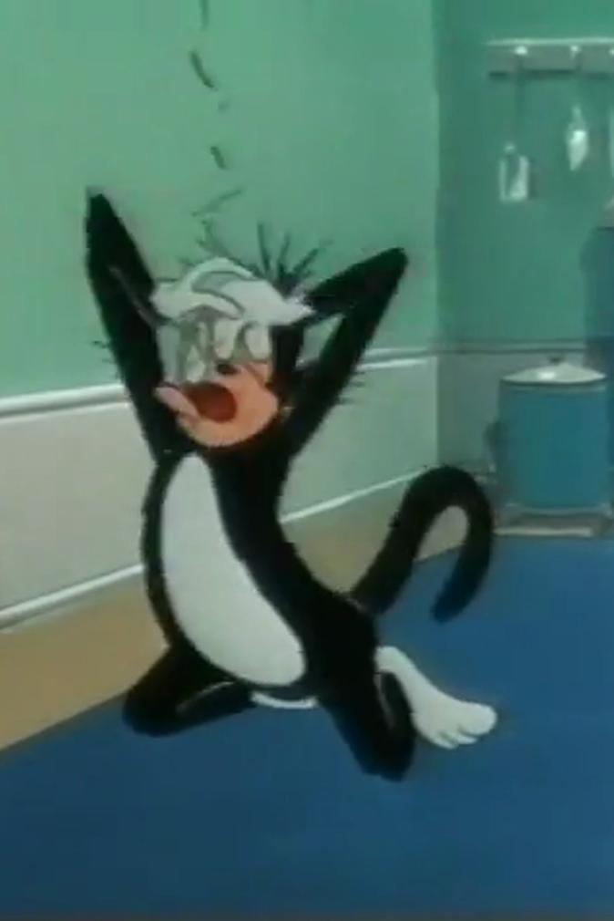 The Cat’s Revenge (1954) Cover