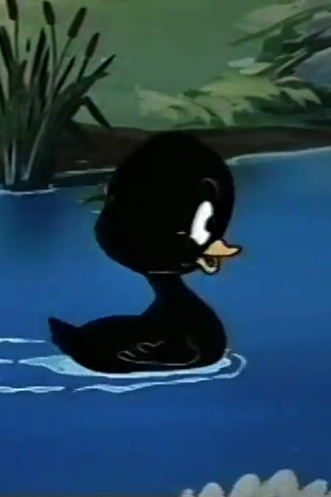 The Orphan Egg (1953) Cover