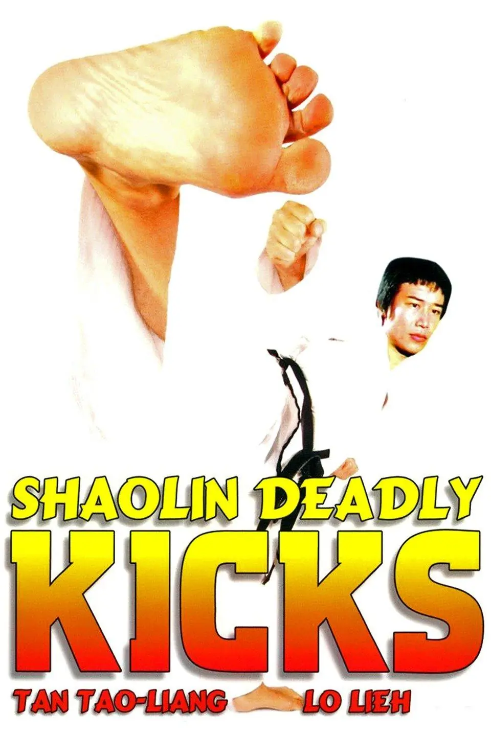Tai ji ba jiao (1979) Cover